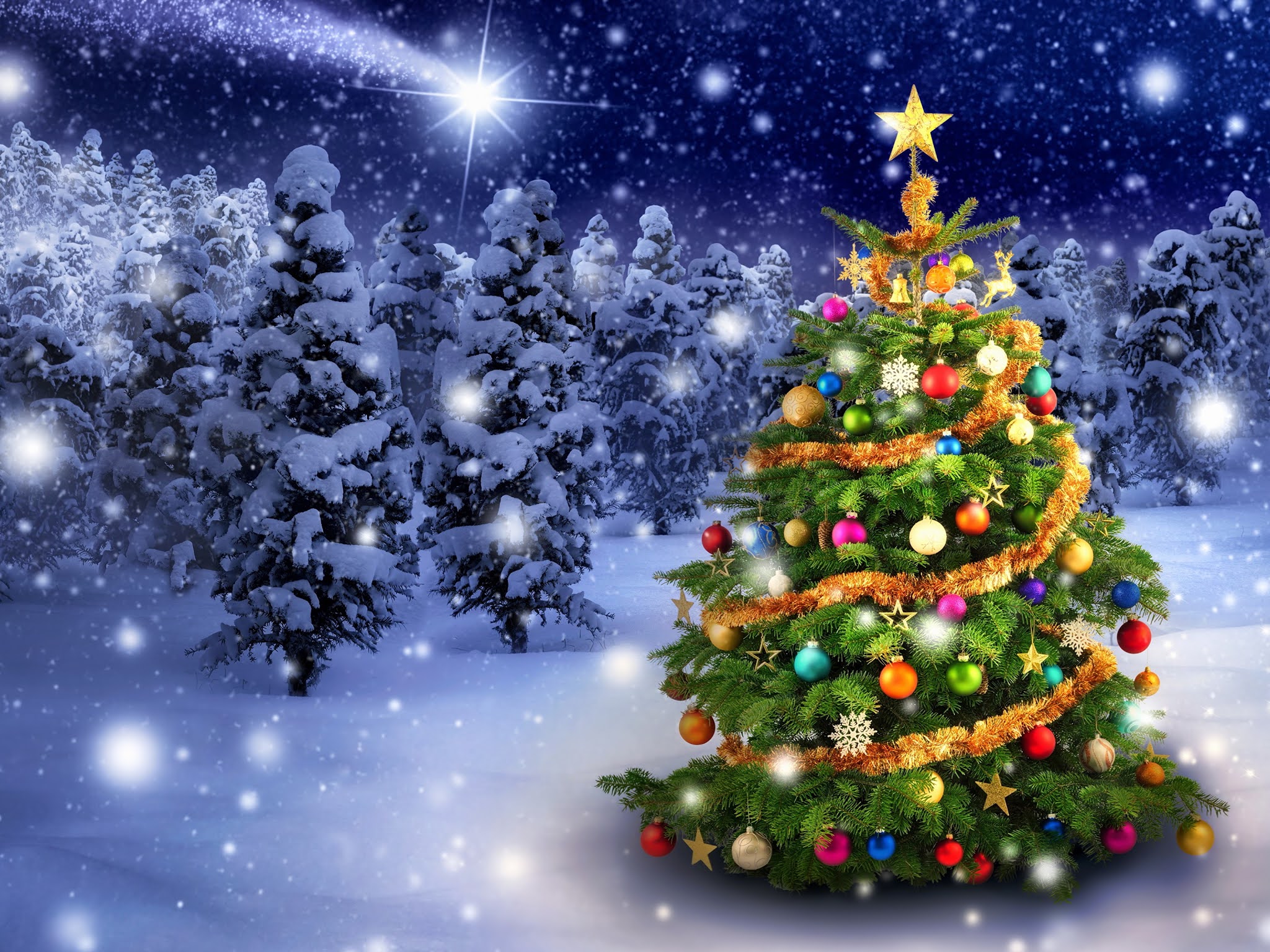 Christmas Christmas tree 466769 3840x2400
